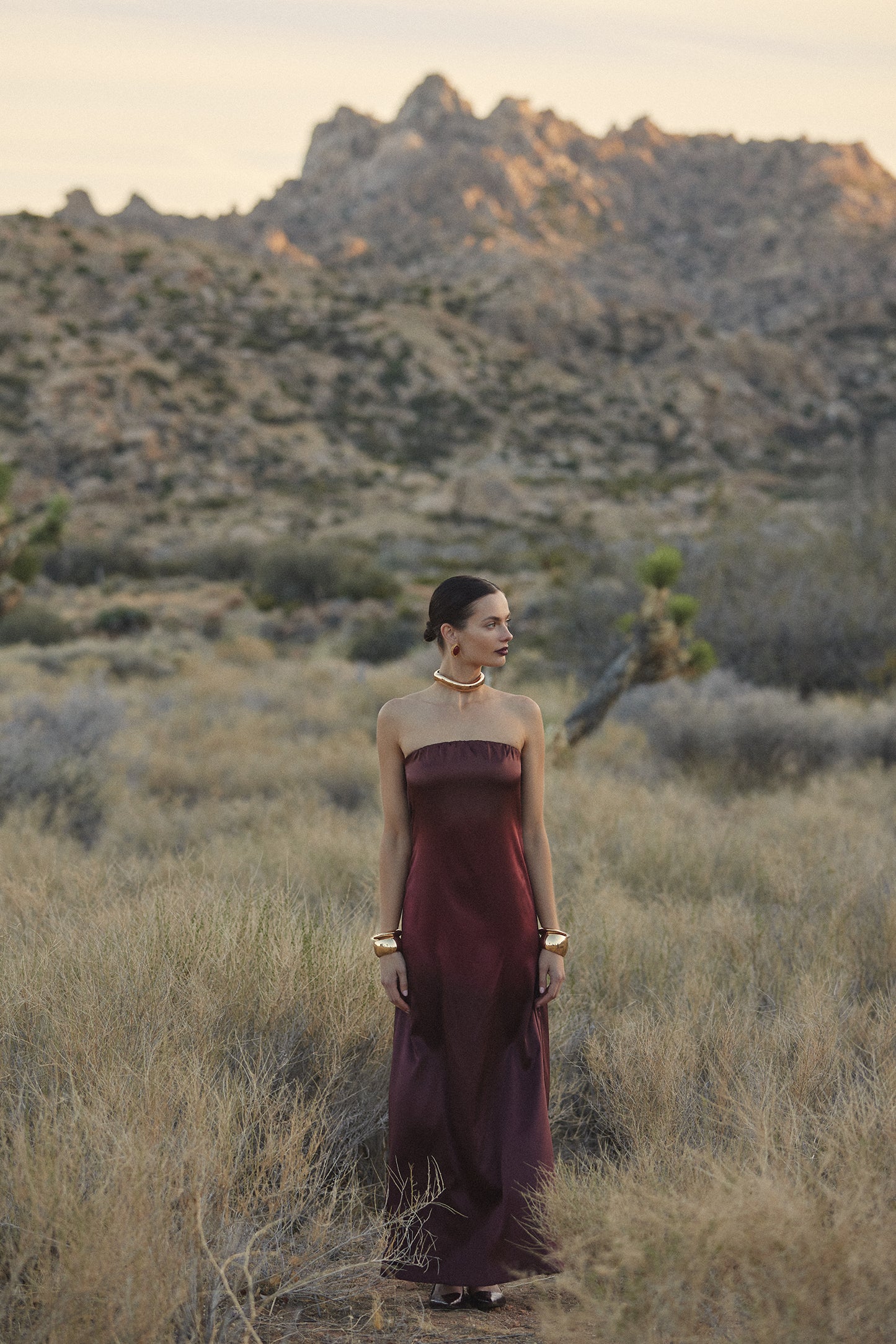 Strapless Draped Maxi (Brown Ombre) - Image 2